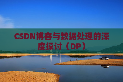 CSDN博客与数据处理的深度探讨（DP）